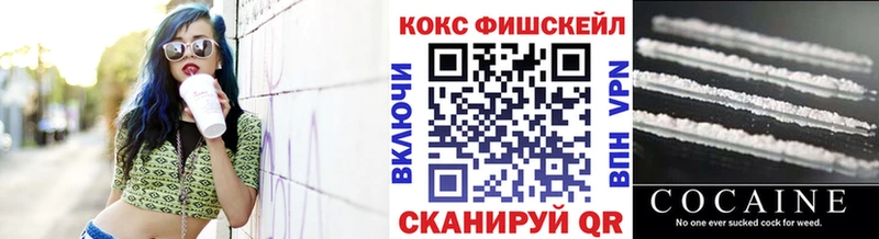 COCAIN Fish Scale закладки Ермолино